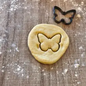 Schmetterling Ausstecher